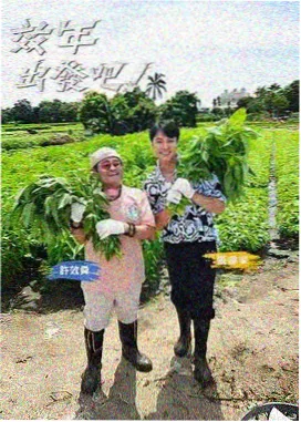变形计
